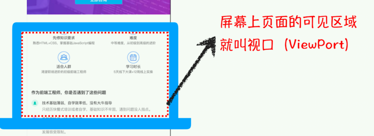 视口